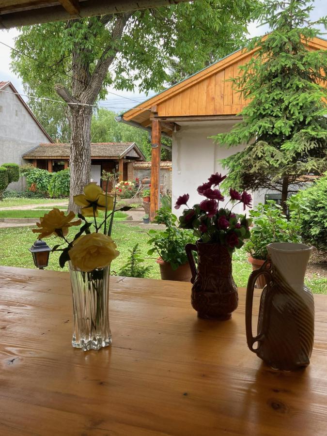 Nantucket Guesthouse Vrbas 외부 사진