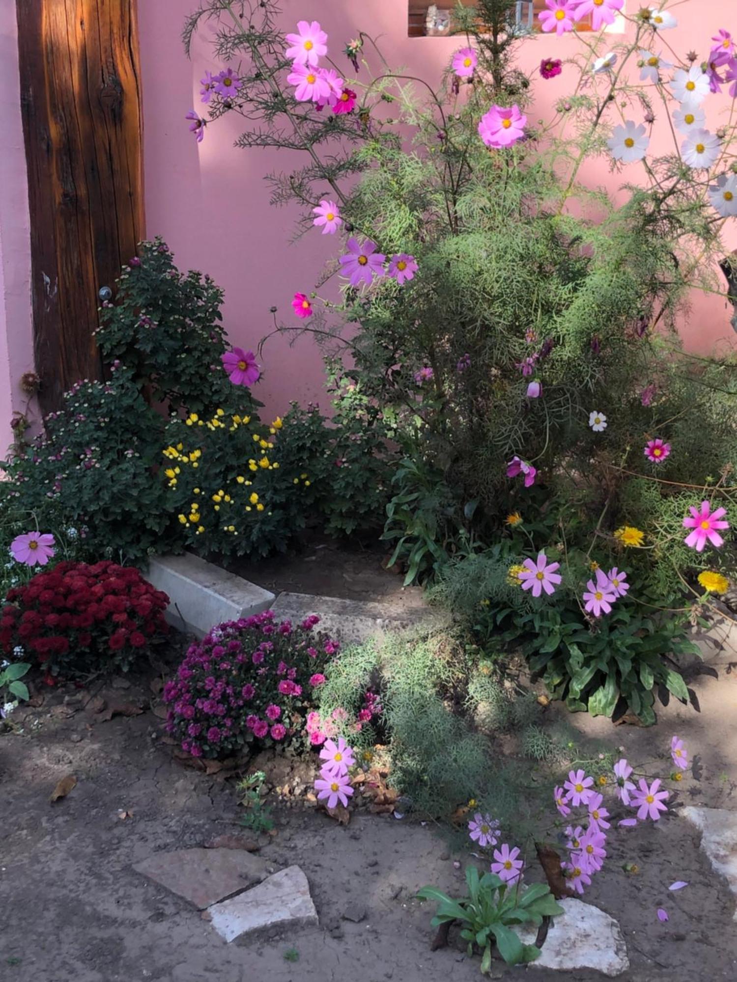 Nantucket Guesthouse Vrbas 외부 사진