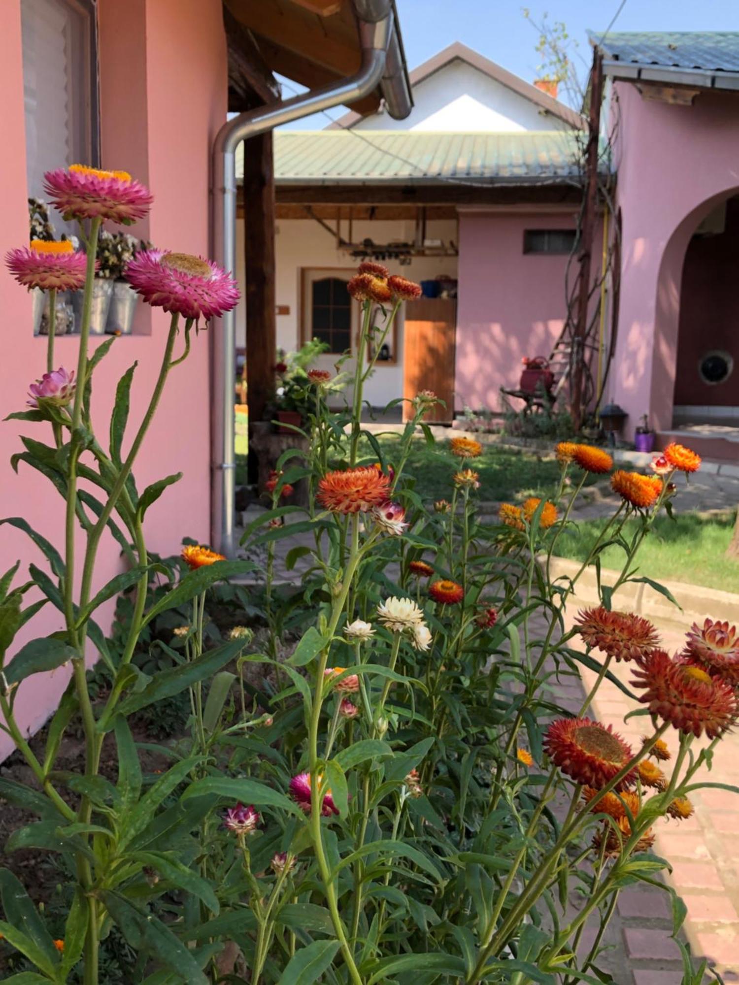 Nantucket Guesthouse Vrbas 외부 사진